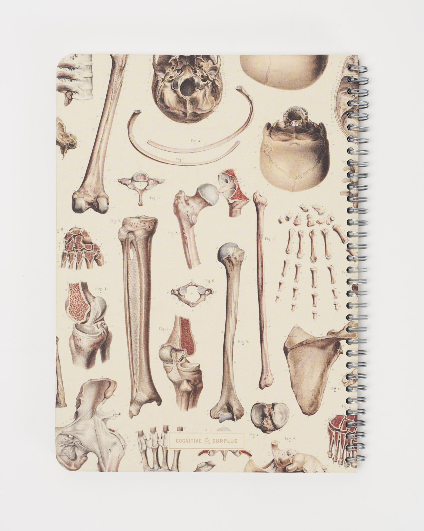 Skeleton Spiral Notebook