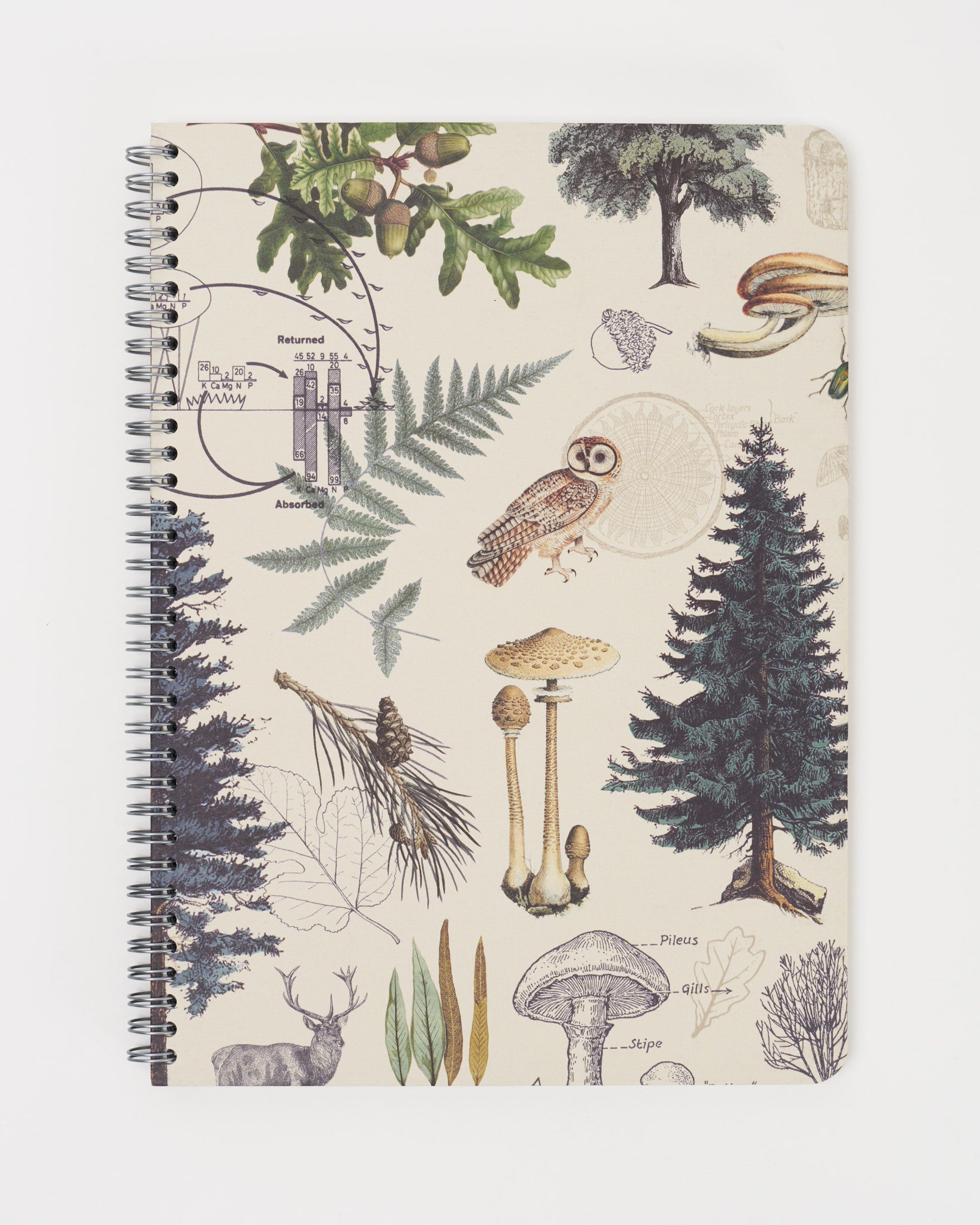Into the Forest Spiral Notebook