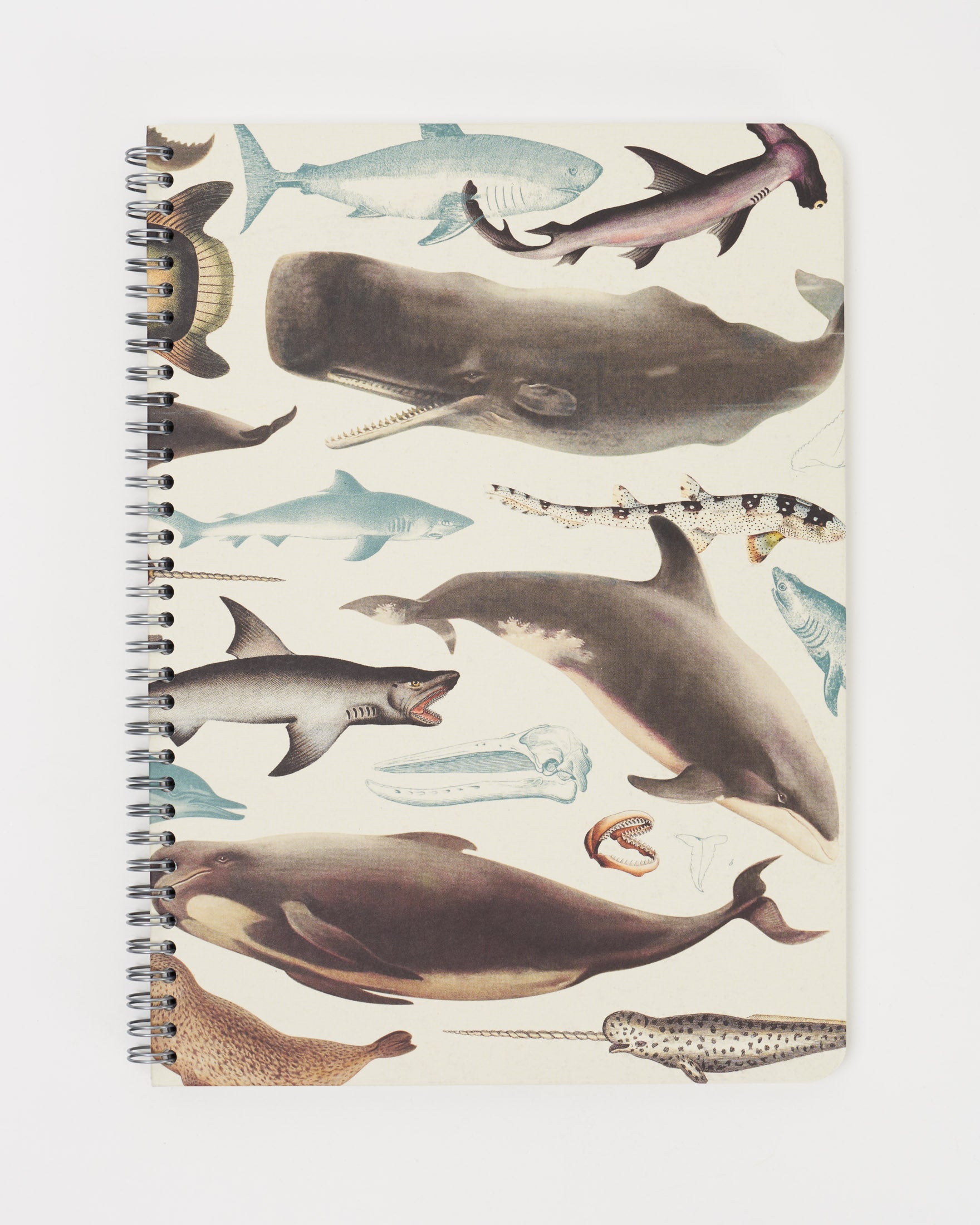 SECONDS: Whales, Sharks & Seals Spiral Notebook A4 (8.3" x 11.7")