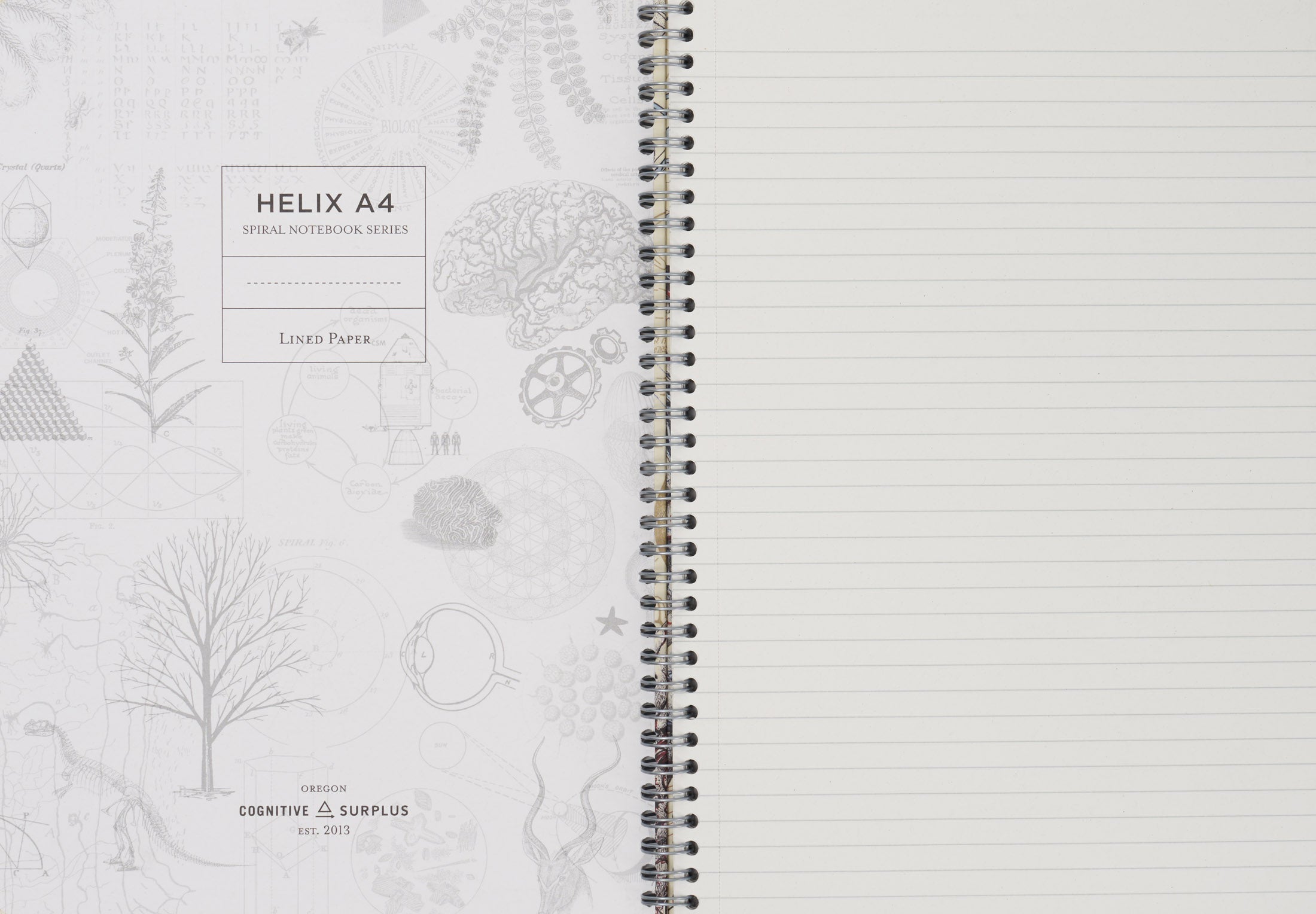 SECONDS: Human Anatomy Spiral Notebook A4 (8.3" x 11.7")