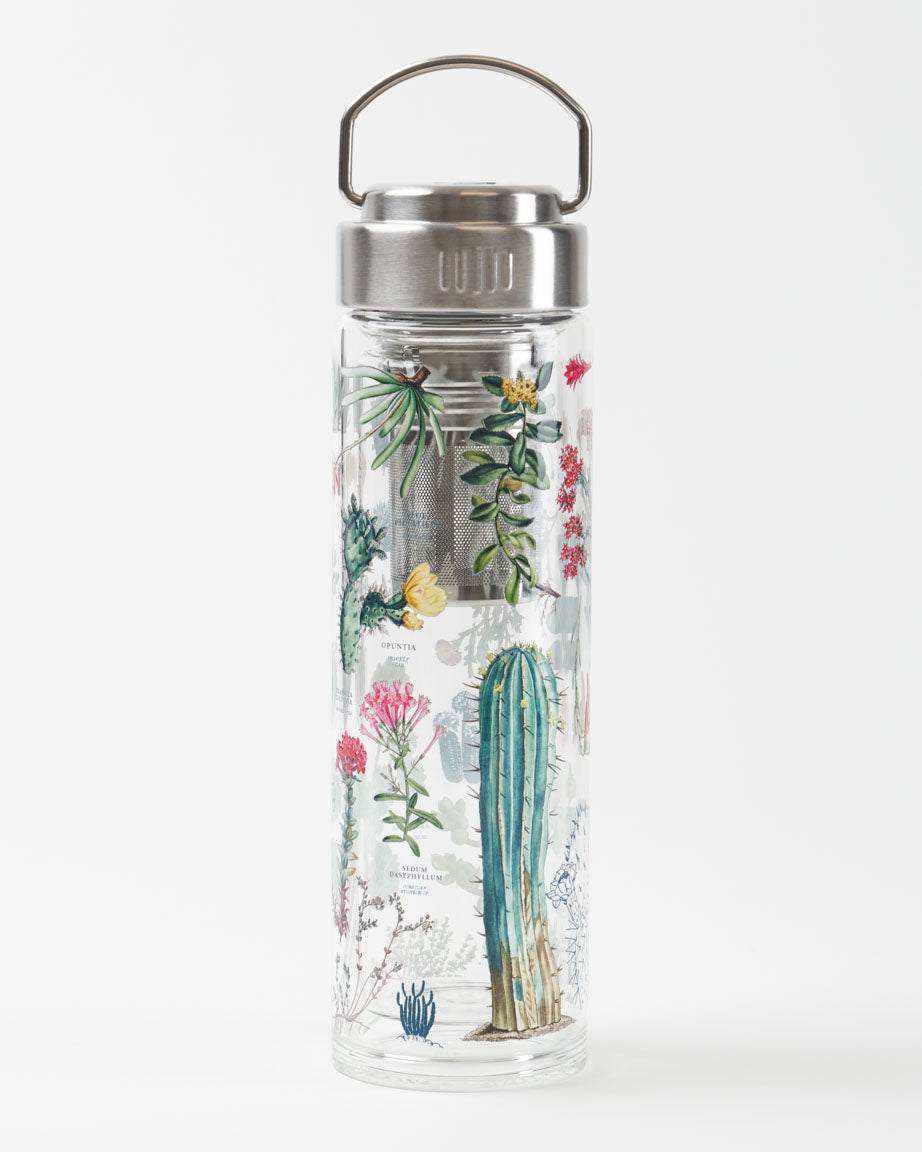 succulents in water bottle Succulents Tea Infuser