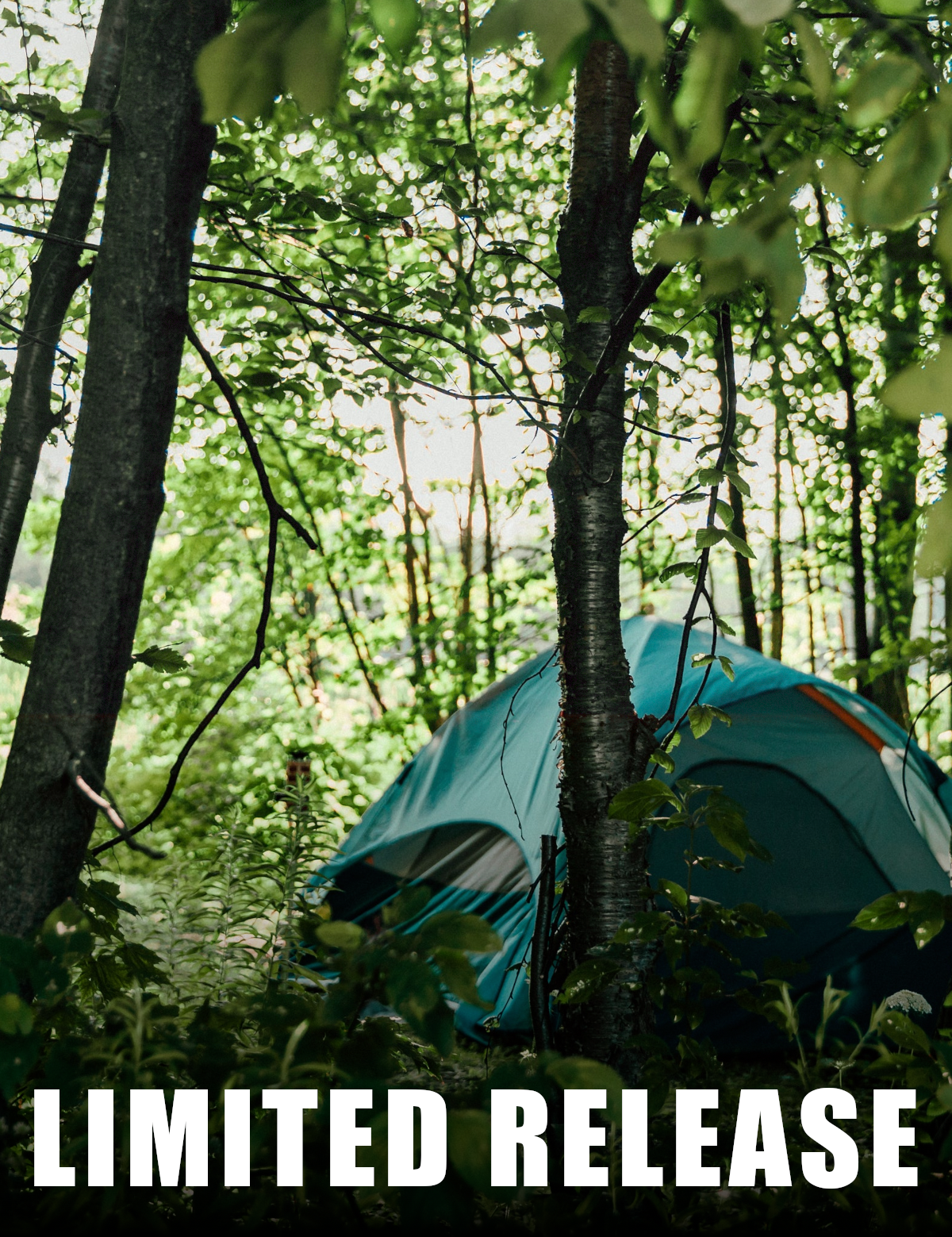 JULCampingintheWoodsMFPPicture.png