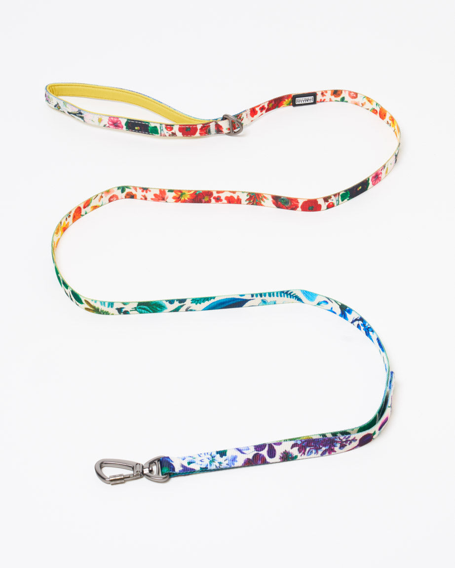Botany Eco Pet Leash