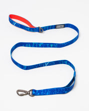 Genetics & DNA Eco Pet Leash
