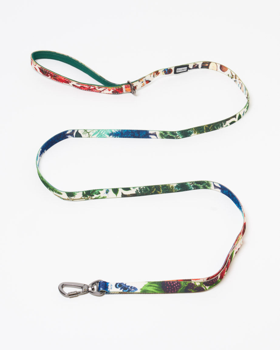 Woodland Forest Eco Pet Leash