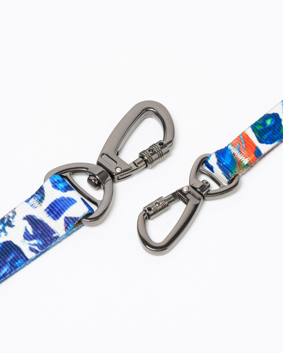 Gems & Minerals Eco Pet Leash