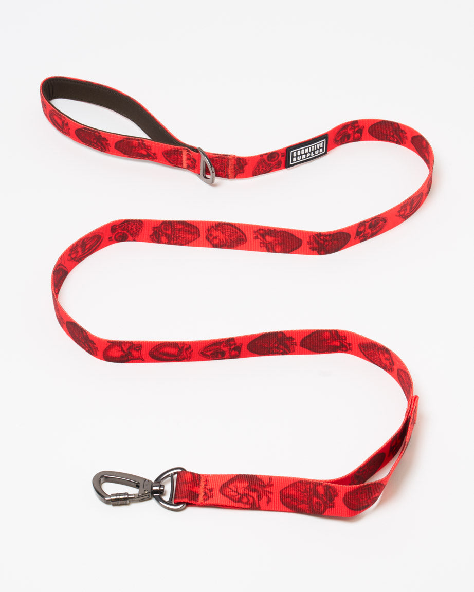Anatomical Heart Eco Pet Leash