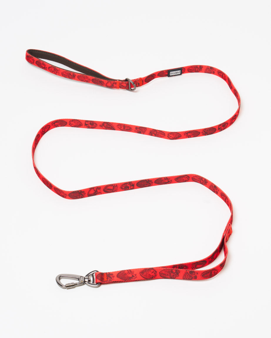 Anatomical Heart Eco Pet Leash