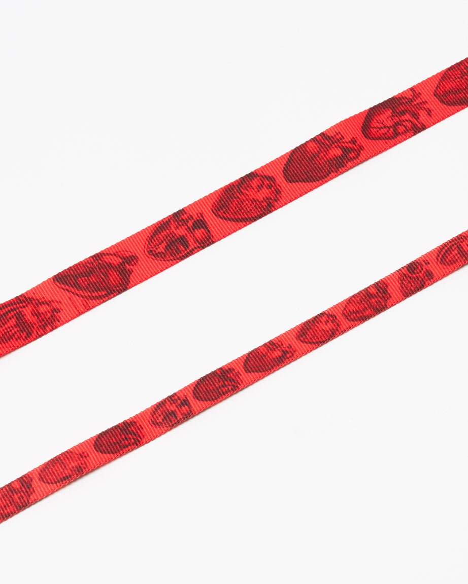 Anatomical Heart Eco Pet Leash