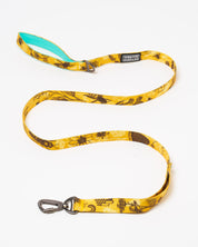 Honey Bees Eco Pet Leash