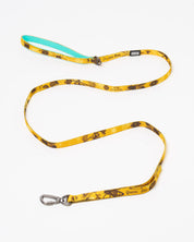Honey Bees Eco Pet Leash