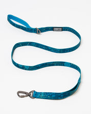 Equations That Changed the World Eco Pet Leash