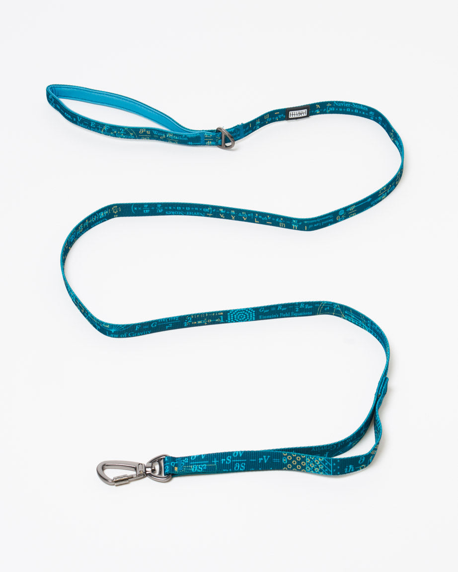 Equations That Changed the World Eco Pet Leash