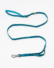 Equations That Changed the World Eco Pet Leash