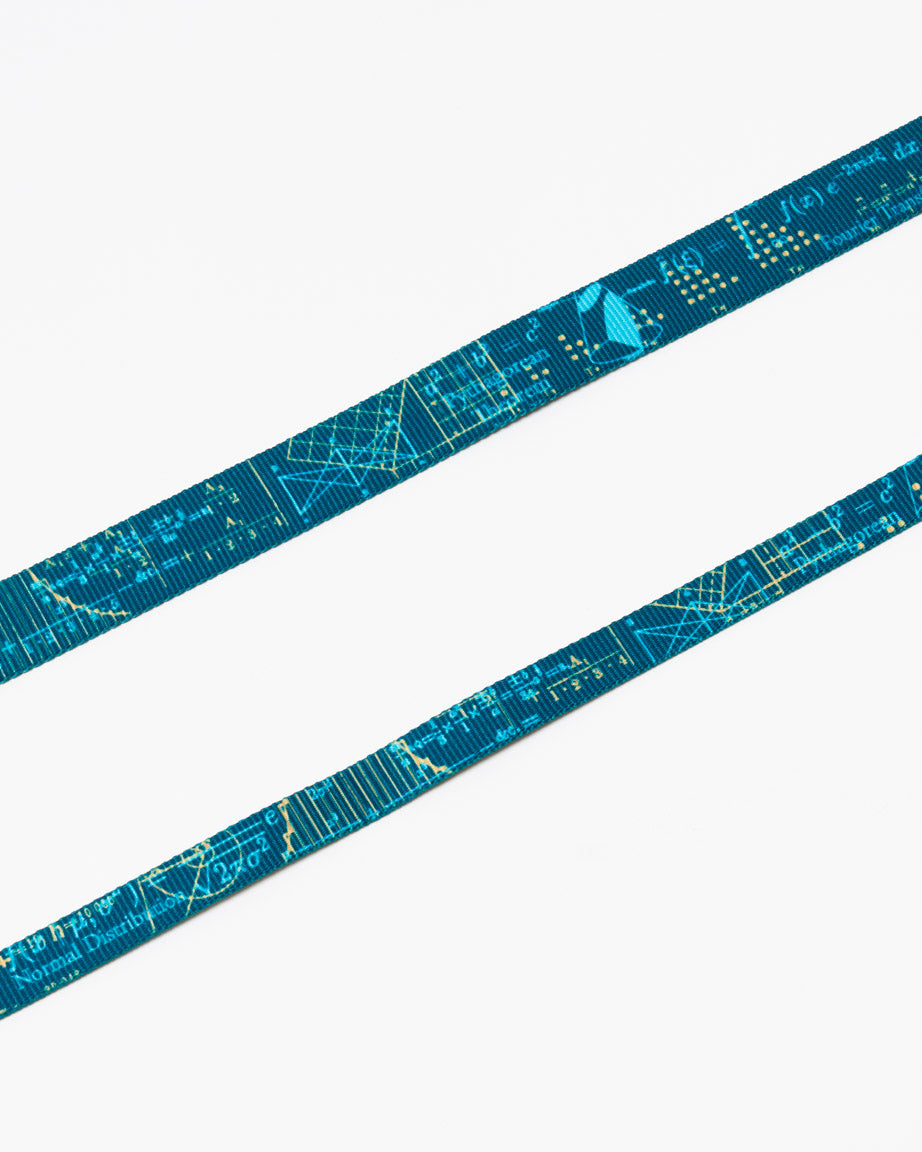 Equations That Changed the World Eco Pet Leash