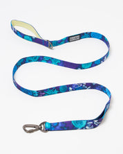Infectious Disease Eco Pet Leash