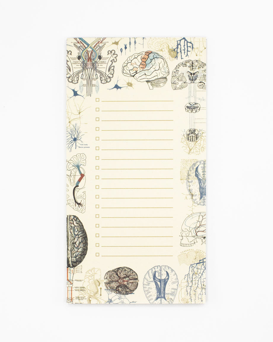 Brain Science Notepads - Vintage Medicine Pad | Cognitive Surplus