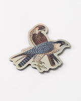 Peregrine Falcon Magnet