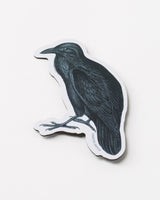 Raven Magnet