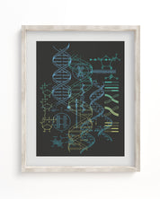 Genetics Scientific Illustration Museum Print