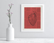 Anatomical Heart Scientific Illustration Museum Print