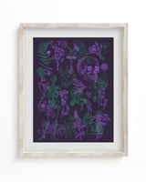 Poisonous Plants Pl 2 Scientific Illustration Museum Print