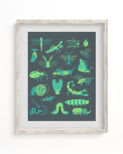 A Cognitive Surplus framed art print of Retro Insects Museum Print in blue and green.