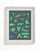 Retro Insects Museum Print