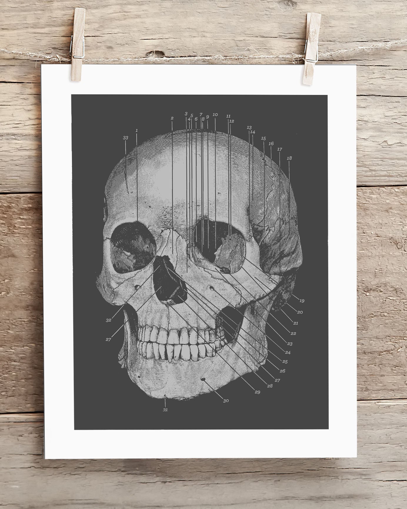 A black and white drawing of a skull hanging on a clothesline.