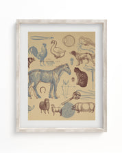 Veterinary Science Museum Print