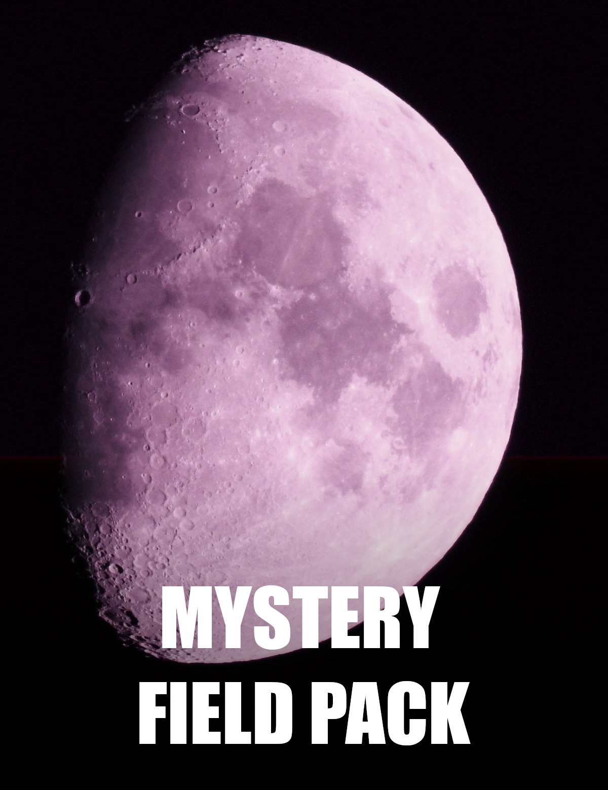 NASAontheMoonMFPPicture.png