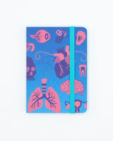 Retro Anatomy Observation Softcover