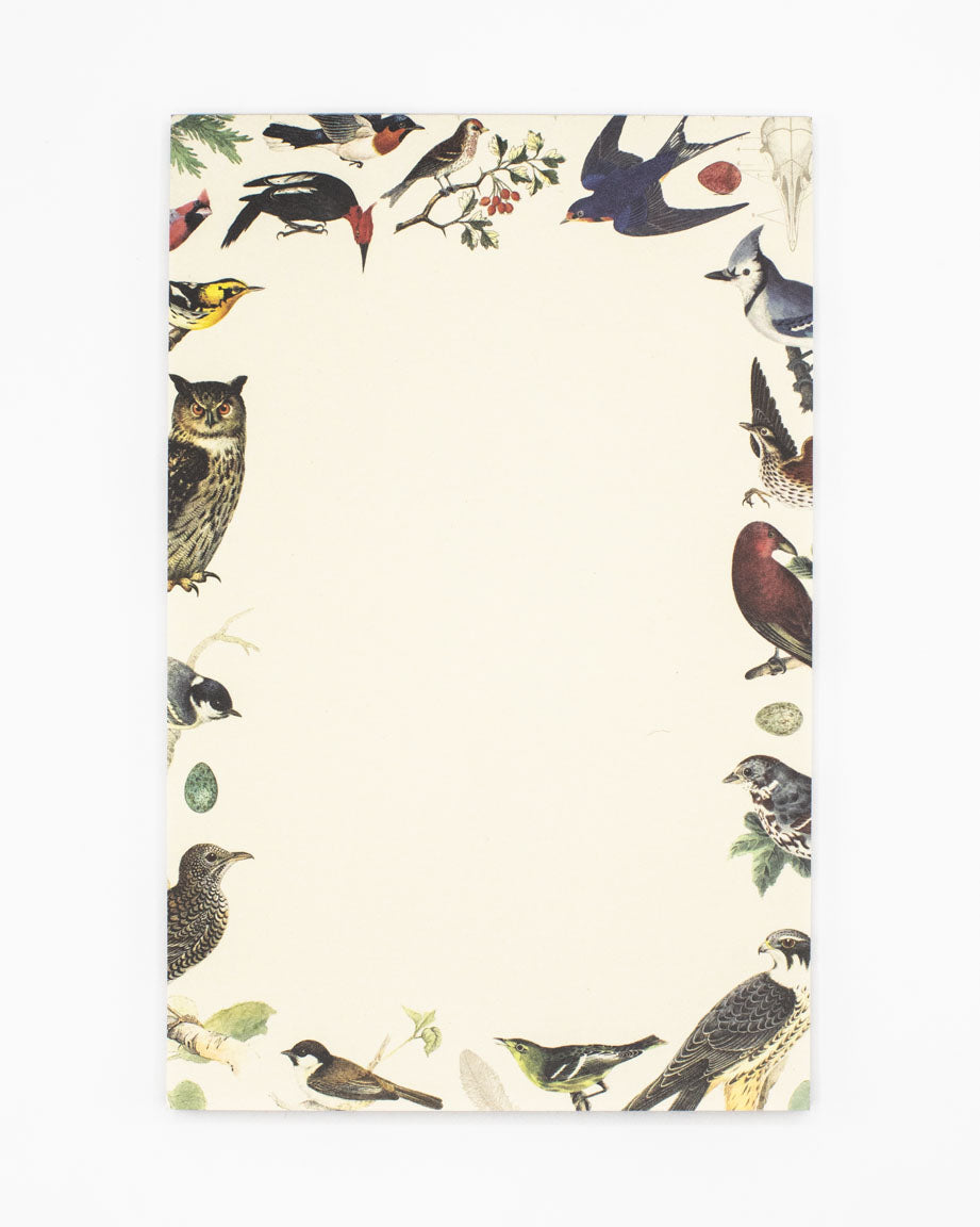 Bird Notepads - Ornithology Market Pad | Cognitive Surplus