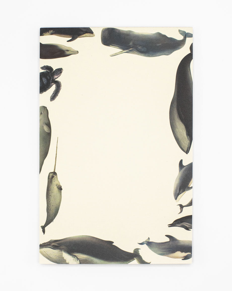 Whales Notepads
