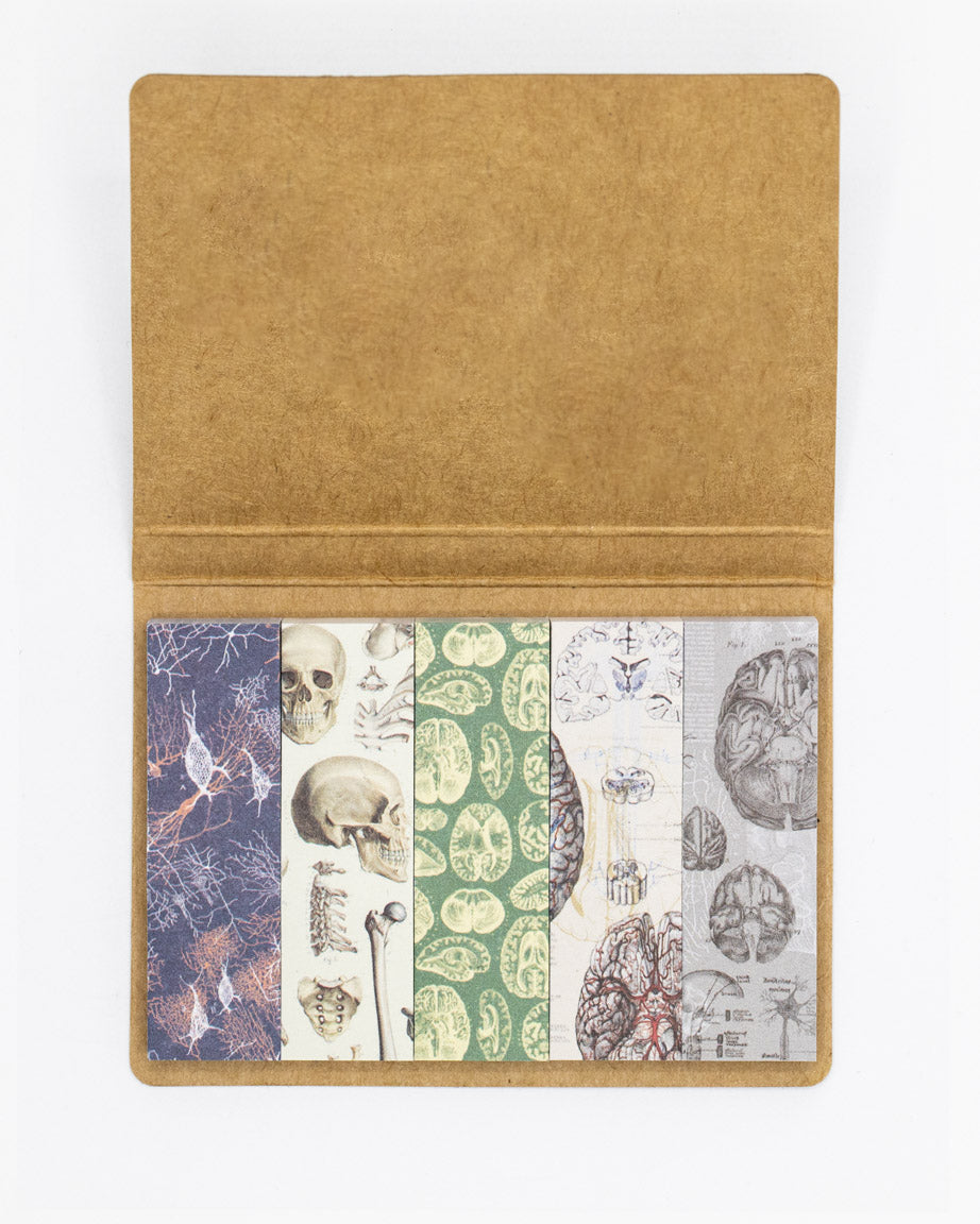 SECONDS: Cranium Page Flags