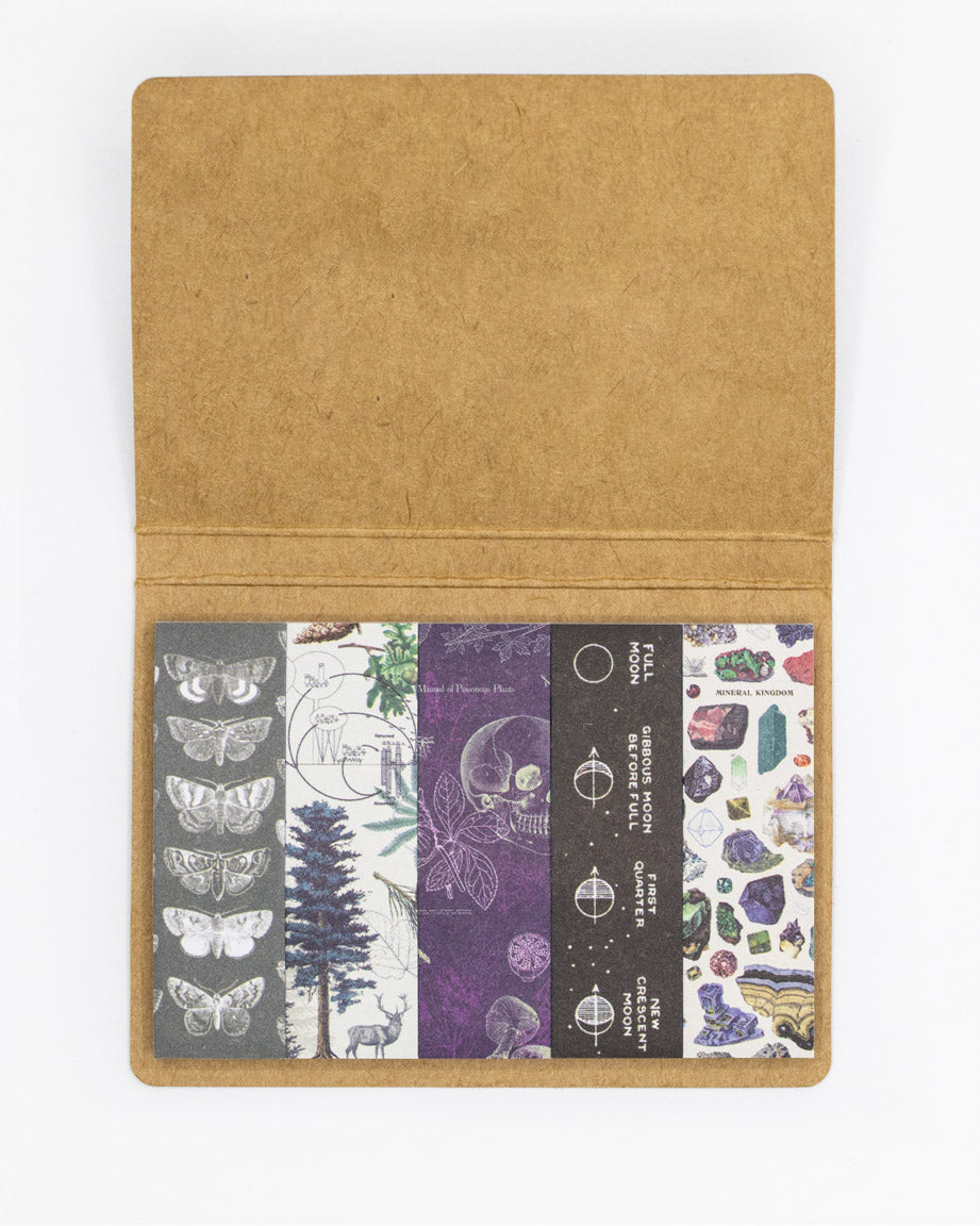 SECONDS: Moonlit Forest Page Flags