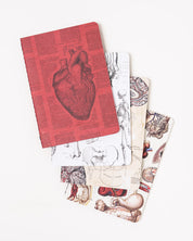 Anatomy Pocket Notebook 4-pack