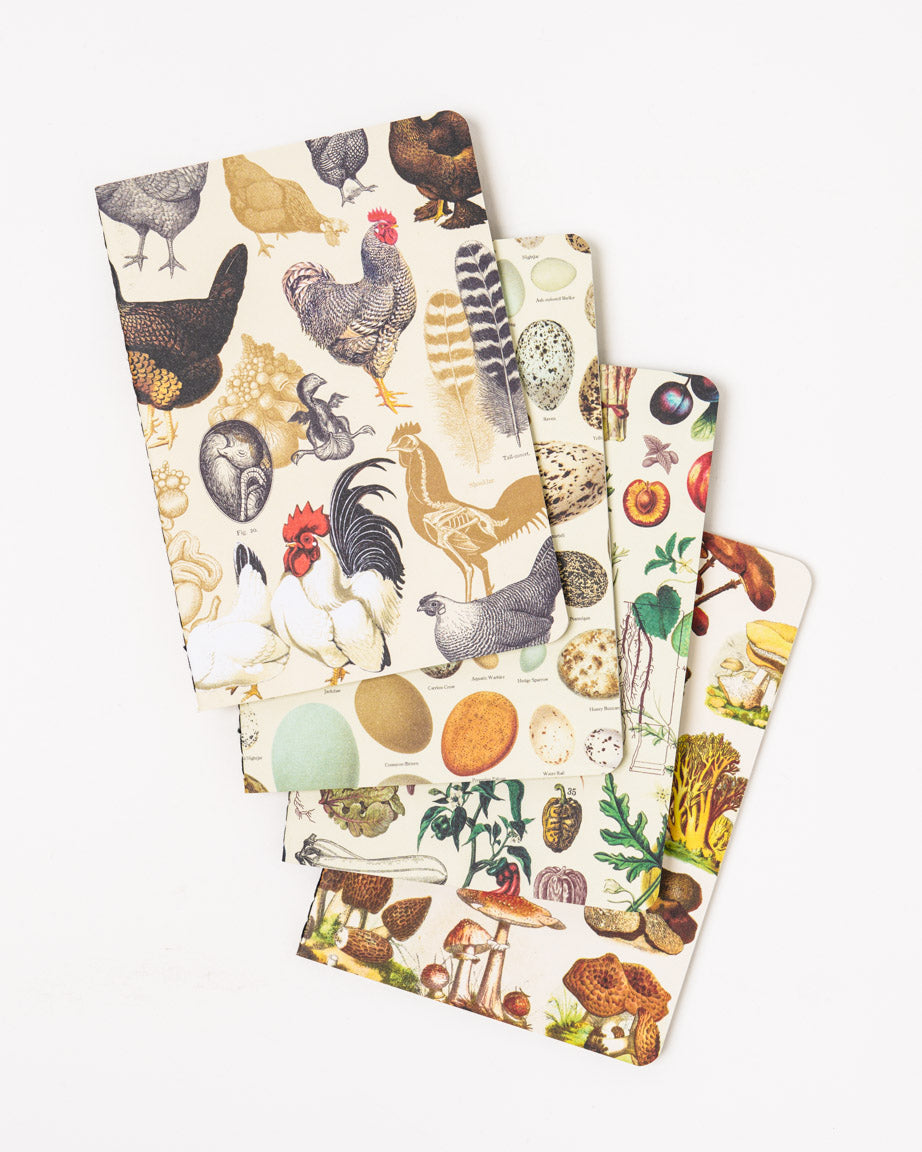 Backyard Farming Pocket Notebook 4-pack – Cognitive Surplus