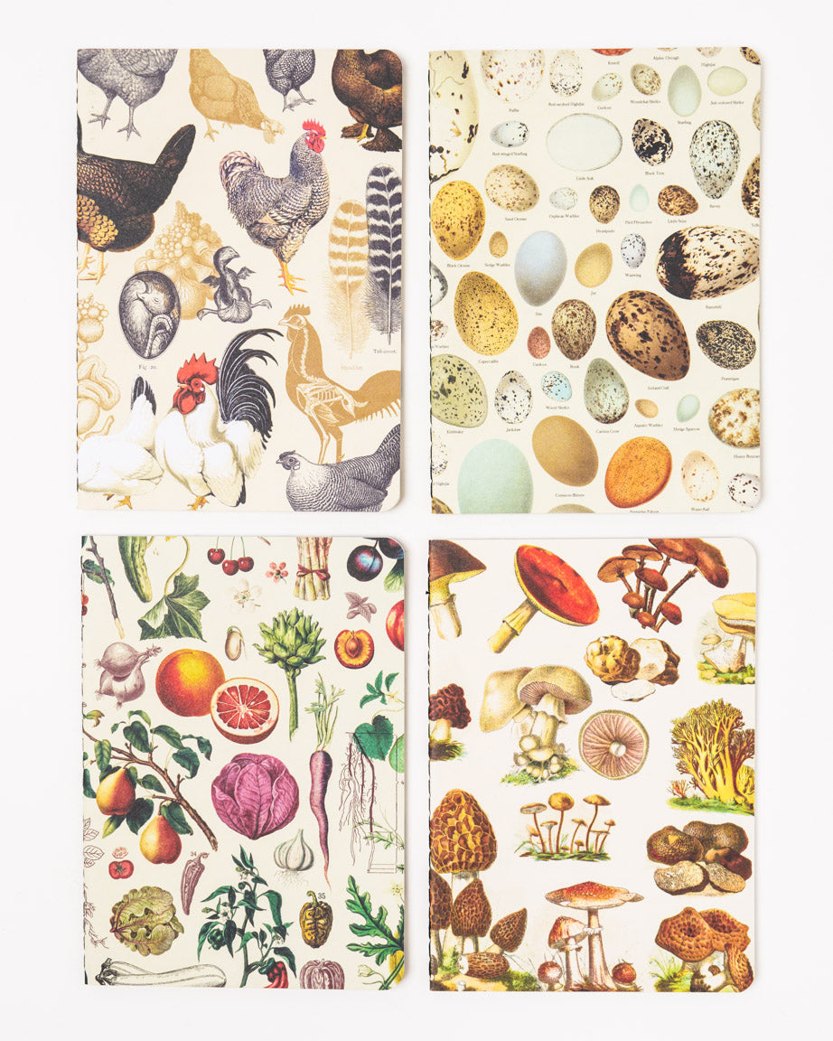 Backyard Farming Pocket Notebook 4-pack