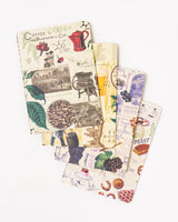 Food Science Pocket Notebook 4-pack