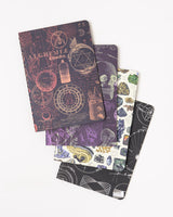 Moonlit Night Pocket Notebook 4-pack
