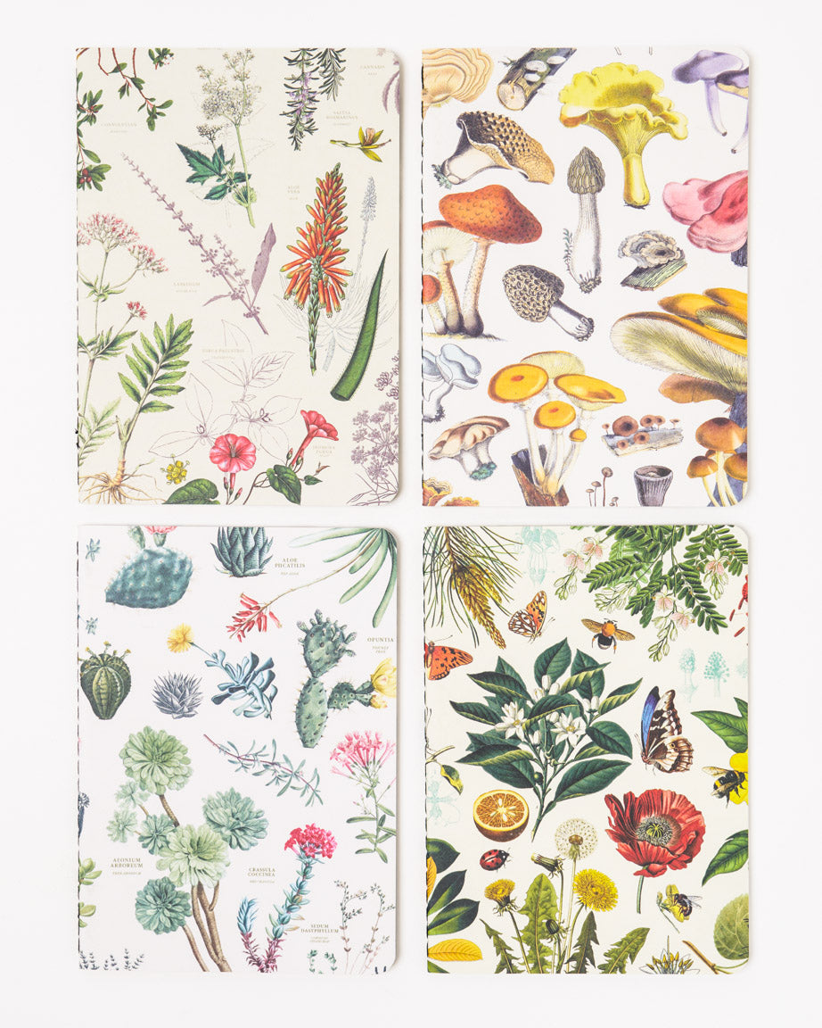 Plants & Fungi Pocket Notebook 4-pack