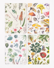 Plants & Fungi Pocket Notebook 4-pack