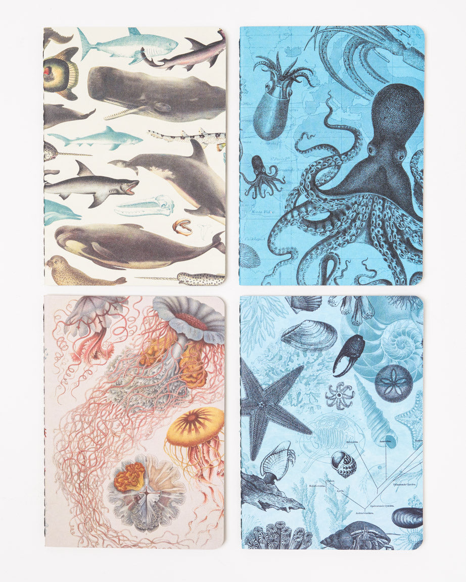 Ocean Pocket Notebook 4-pack