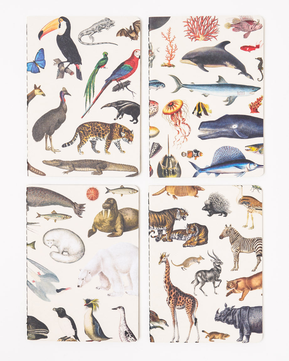 Zoology Pocket Notebook 4-pack