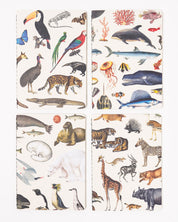 Zoology Pocket Notebook 4-pack