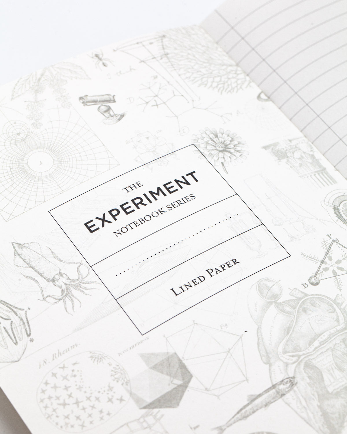 Internal Medicine Softcover Notebook - Lined | Cognitive Surplus