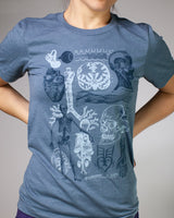 Mystery Adult Science Shirts!