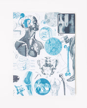 Biomedical Engineering Softcover Notebook - Dot Grid