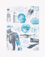 Biomedical Engineering Softcover Notebook - Dot Grid